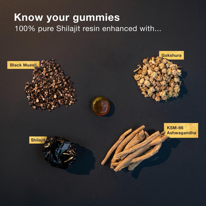 6 in 1 Shilajit Gummies
