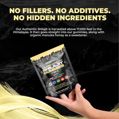 6 in 1 Shilajit Gummies